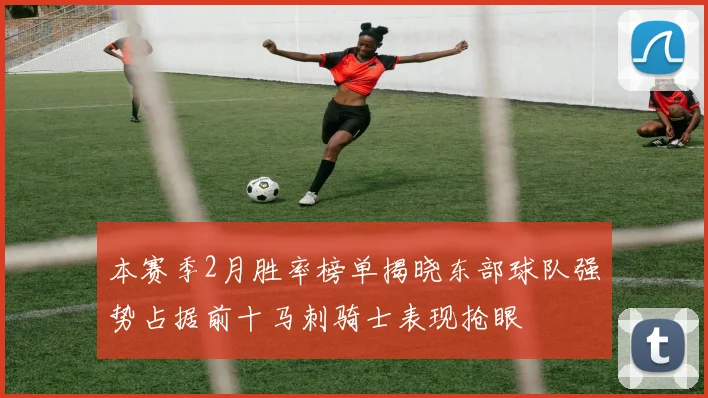 本赛季2月胜率榜单揭晓东部球队强势占据前十马刺骑士表现抢眼