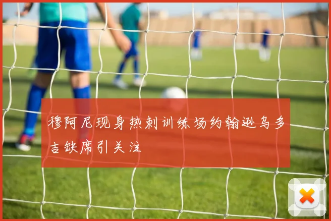 穆阿尼现身热刺训练场约翰逊乌多吉缺席引关注