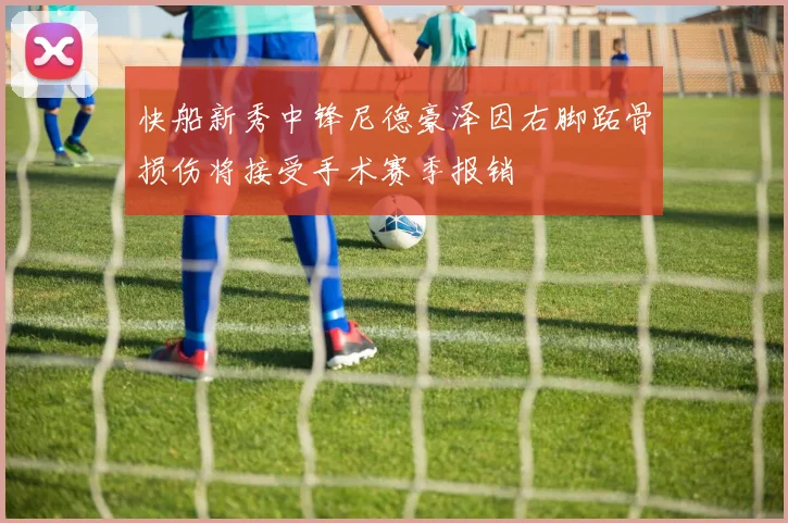 快船新秀中锋尼德豪泽因右脚跖骨损伤将接受手术赛季报销