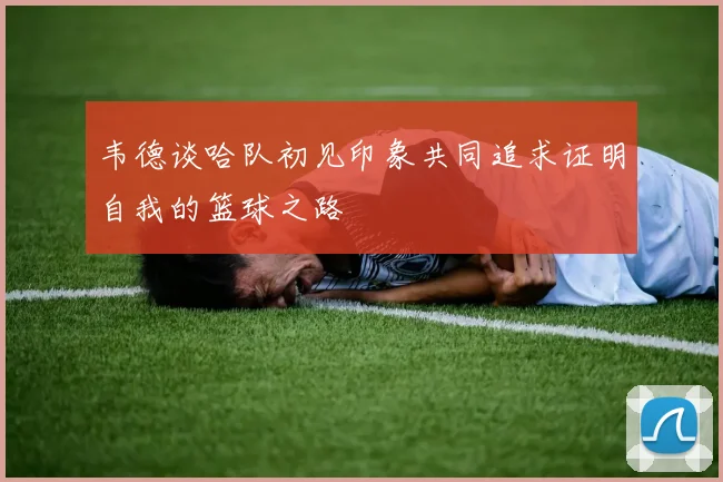 韦德谈哈队初见印象共同追求证明自我的篮球之路